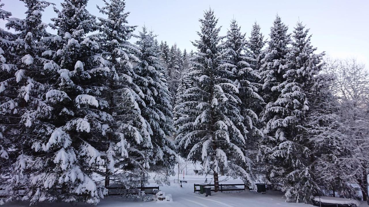 Am Kaltenbach - Spital Am Semmering, Stuhleck Eksteriør bilde