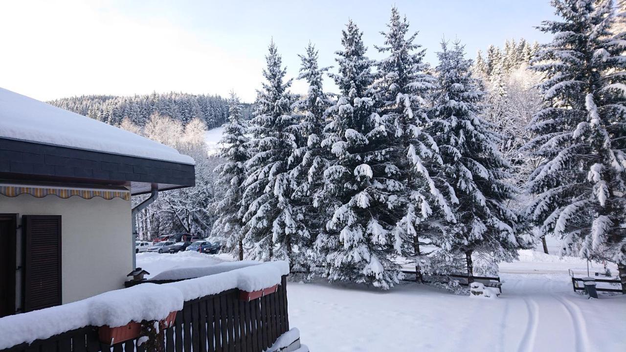 Am Kaltenbach - Spital Am Semmering, Stuhleck Eksteriør bilde